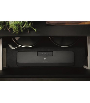 Electrolux E4VS1-4AG