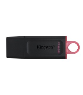 KINGSTON MEMORY DRIVE FLASH USB3.2/256GB DTX/256GB 
