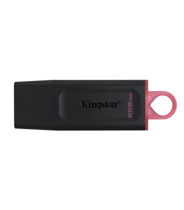 KINGSTON MEMORY DRIVE FLASH USB3.2/256GB DTX/256GB 