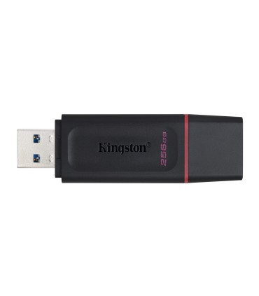 KINGSTON MEMORY DRIVE FLASH USB3.2/256GB DTX/256GB 