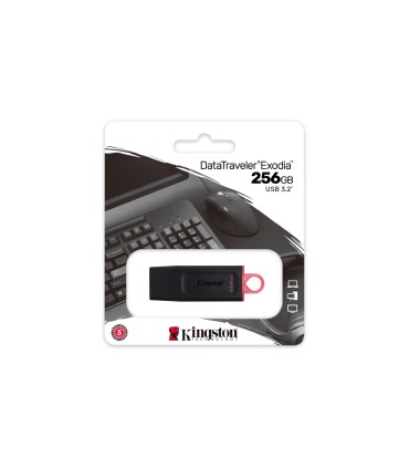 KINGSTON MEMORY DRIVE FLASH USB3.2/256GB DTX/256GB 