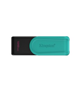 KINGSTON MEMORY DRIVE FLASH USB3.2/128GB DTXS/128GB 