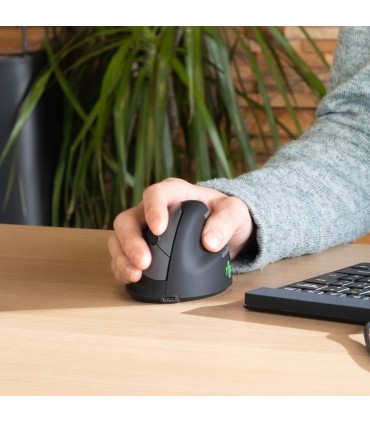 R-GO TOOLS MOUSE USB OPTICAL BREAK/BLACK RGOHBRSWLBL 