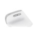 TRUST MOUSE USB OPTICAL WRL BAYO II/ERGO WHT 25398 