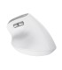 TRUST MOUSE USB OPTICAL WRL BAYO II/ERGO WHT 25398 