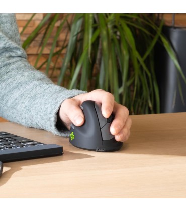 R-GO TOOLS MOUSE USB OPTICAL WRL/LEFT BLACK RGOHEWLL 