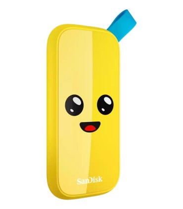 SANDISK External SSD  2TB USB 3.2 Read speed 800 MBytes/sec SDSSDE30-2T00-G25F