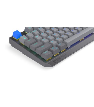 ENDORFY KEYBOARD WRL THOCK V2/EY5A129 