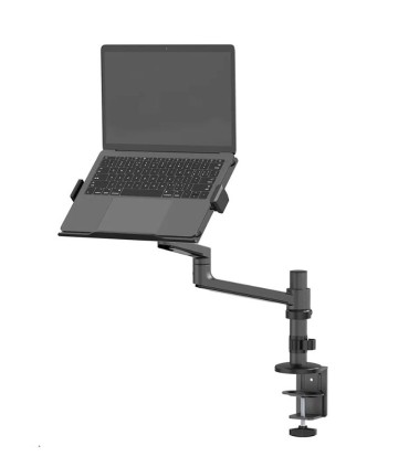 NEOMOUNTS NB ACC DESK STAND 11.6-17.3"/DS20-425BL1 