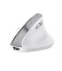 TRUST MOUSE USB OPTICAL WRL BAYO II/ERGO WHT 25398 