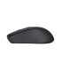 TRUST MOUSE USB OPTICAL WRL BLACK/MYDO 25084 