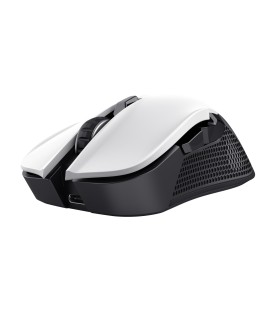 TRUST MOUSE USB OPTICAL WRL YBAR/GTX923W 24889 