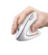 TRUST MOUSE USB OPTICAL WRL VERTO/ERGONOMIC WHITE 25132 