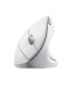 TRUST MOUSE USB OPTICAL WRL VERTO/ERGONOMIC WHITE 25132 