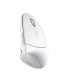TRUST MOUSE USB OPTICAL WRL VERTO/ERGONOMIC WHITE 25132 