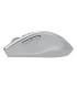 ASUS MOUSE USB OPTICAL WRL WT425/SILVER 90XB0280-BMU0L0 