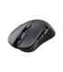 TRUST MOUSE USB OPTICAL WRL YBAR/GTX923 24888 
