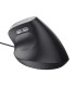 TRUST MOUSE USB OPTICAL BAYO II/ERGONOMIC BLACK 25144 