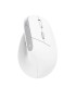 TRUST MOUSE USB OPTICAL WRL BAYO II/ERGO WHT 25398 