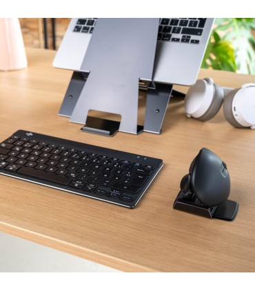 R-GO TOOLS MOUSE USB OPTICAL WRL TWISTER/BLACK RGOTWBMWLBL 