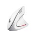 TRUST MOUSE USB OPTICAL WRL VERTO/ERGONOMIC WHITE 25132 