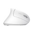 TRUST MOUSE USB OPTICAL WRL VERTO/ERGONOMIC WHITE 25132 