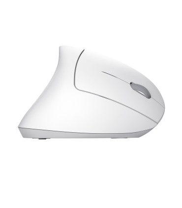 TRUST MOUSE USB OPTICAL WRL VERTO/ERGONOMIC WHITE 25132 