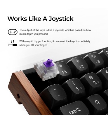 KEYCHRON KEYBOARD WRL K2 HE SPECIAL ED./BLACK K2H-F1 