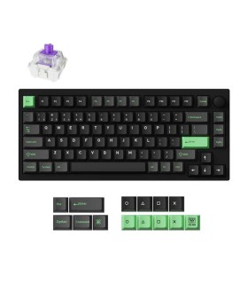 KEYCHRON KEYBOARD WRL P1 HE RGB/BLACK P1H-M1Z 