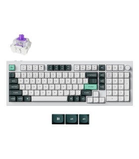 KEYCHRON KEYBOARD WRL Q5 HE RGB/SHELL WHITE Q5H-P1 