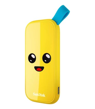 SANDISK External SSD  2TB USB 3.2 Read speed 800 MBytes/sec SDSSDE30-2T00-G25F