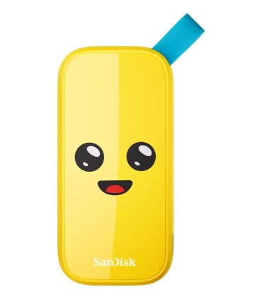 SANDISK External SSD  2TB USB 3.2 Read speed 800 MBytes/sec SDSSDE30-2T00-G25F